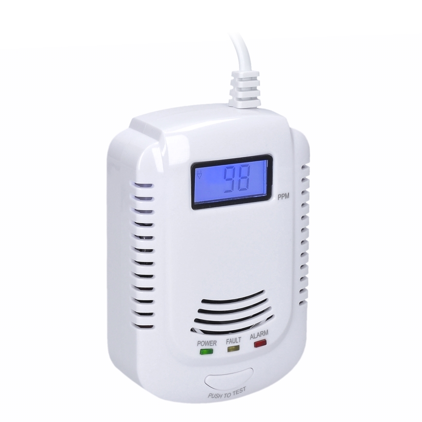Carbon monoxide and flammable gas detector 230V