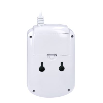 Carbon monoxide and flammable gas detector 230V