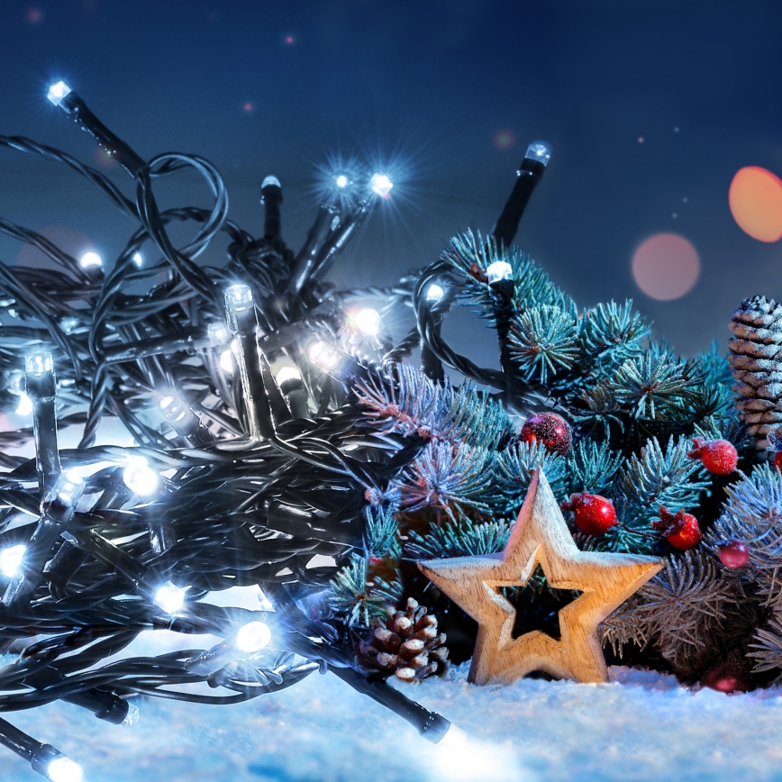 LED Outdoor String Lights, 100 LEDs / 8 modes, 13 m, IP44, Cool White