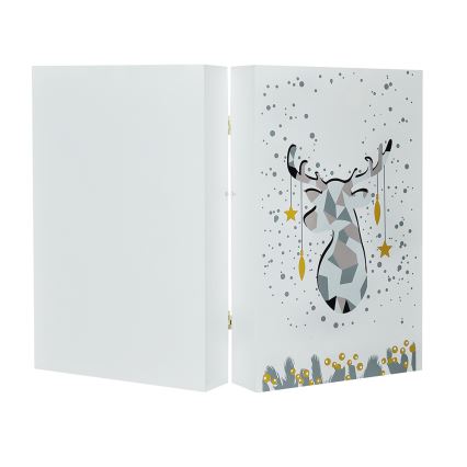 LED Advent calendar LED/2xAAA