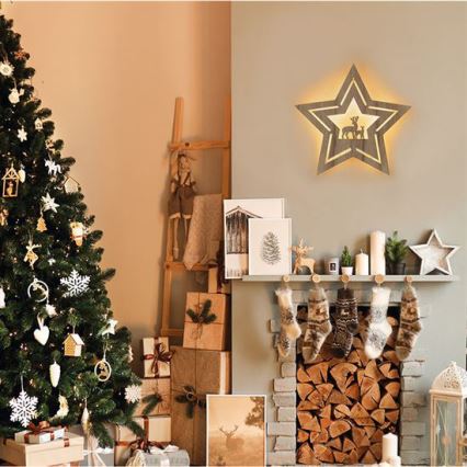 LED Christmas decoration LED/2xAA star