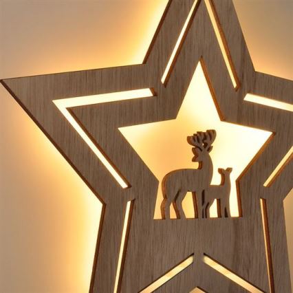 LED Christmas decoration LED/2xAA star