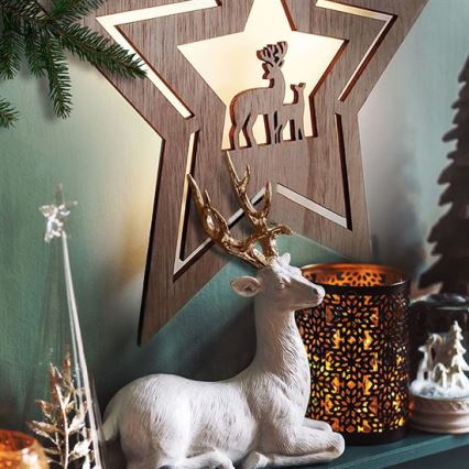 LED Christmas decoration LED/2xAA star