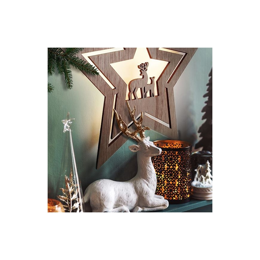 LED Christmas decoration LED/2xAA star
