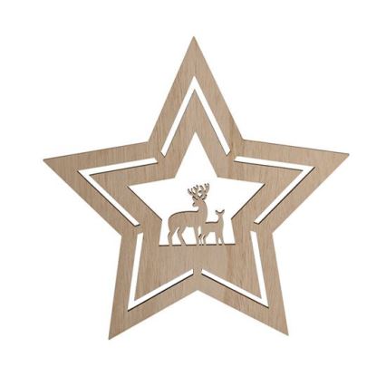 LED Christmas decoration LED/2xAA star