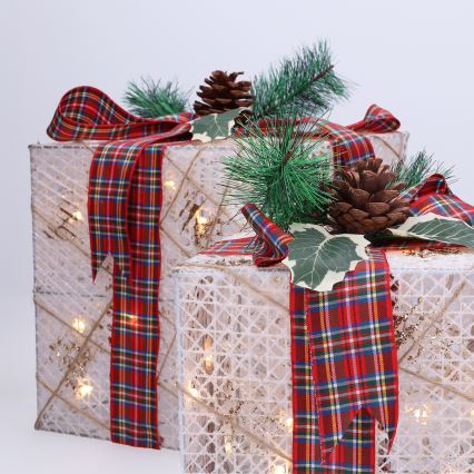 Set of 3 LED Christmas Gift Lights, 48 LEDs / 3.6W / 230V / IP44, Warm White