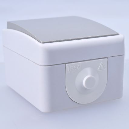 Single-pole switch for humid environment IP54
