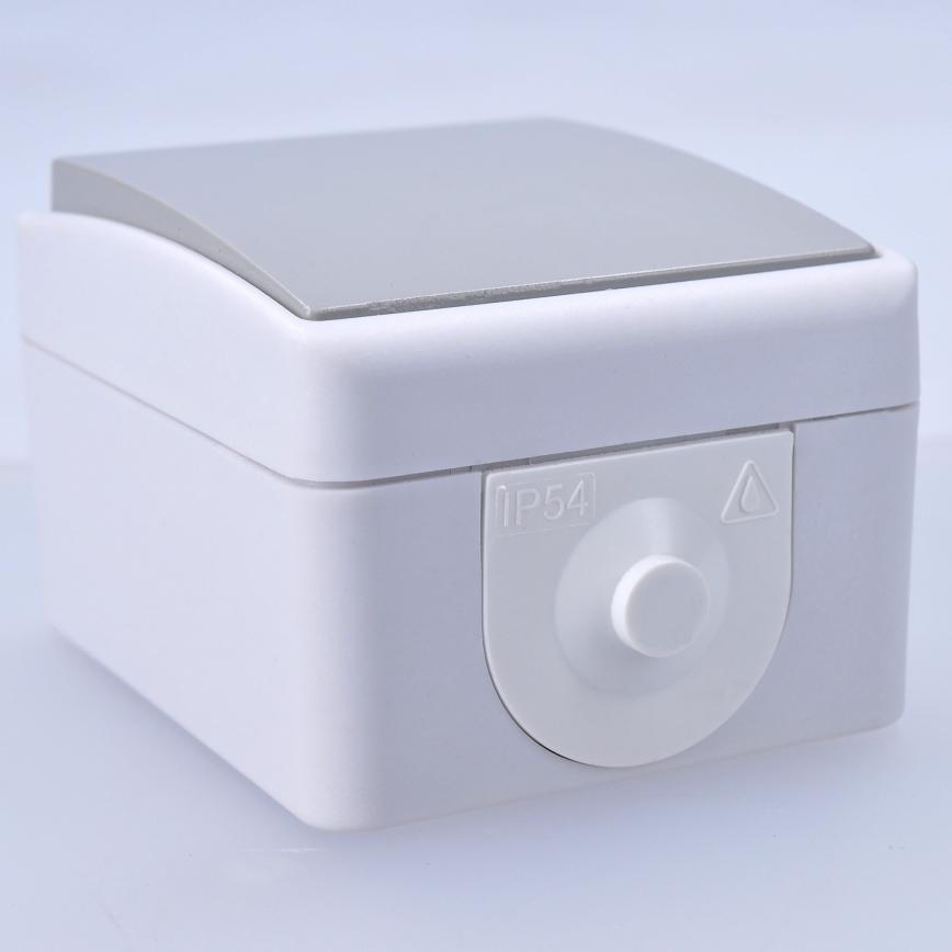 Single-pole switch for humid environment IP54