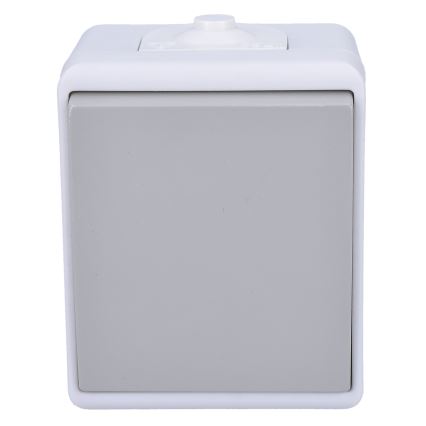 Single-pole switch for humid environment IP54