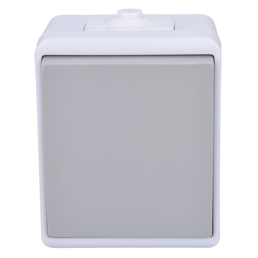 Single-pole switch for humid environment IP54