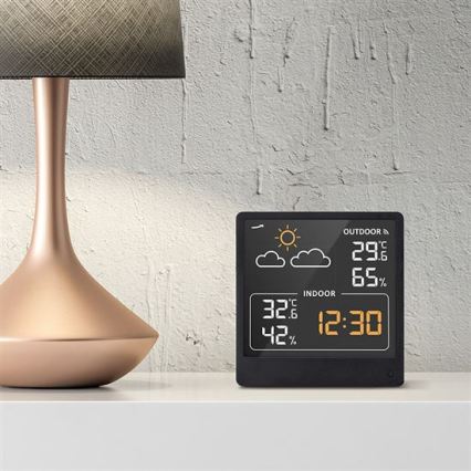 Digital Thermometer 5V/2xAAA + 2xAAA Black