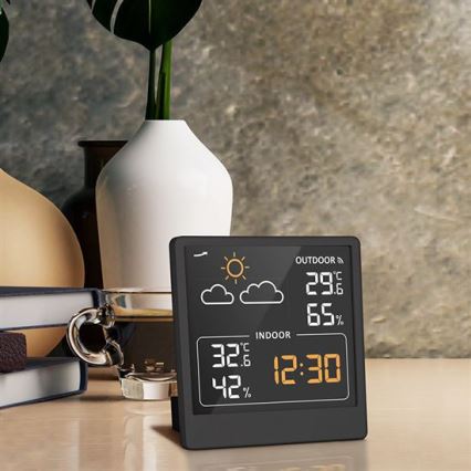 Digital Thermometer 5V/2xAAA + 2xAAA Black