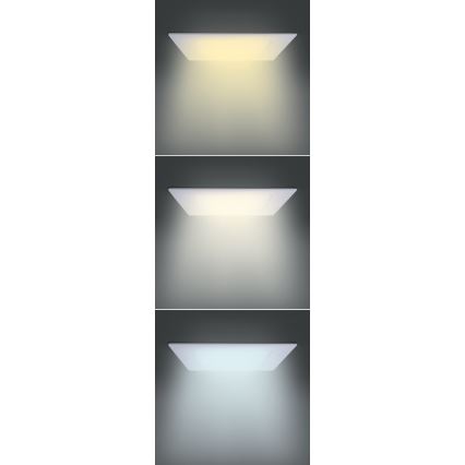 LED Panel LED/12W/230V 3000/4000/6000K 17x17 cm white