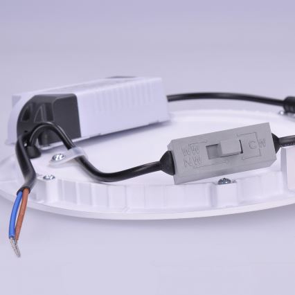 LED recessed ceiling light 24W/230V 3000/4000/6000K Ø30 cm white