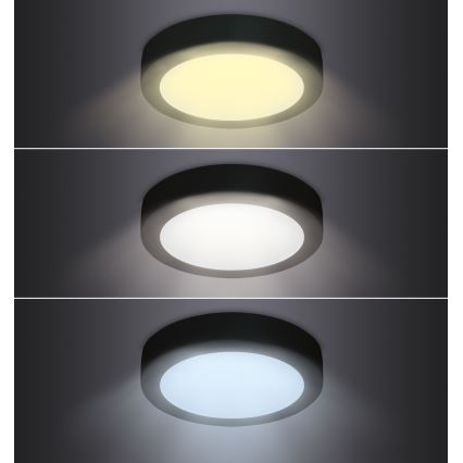 LED Ceiling light LED/12W/230V 3000/4000/6000K black round