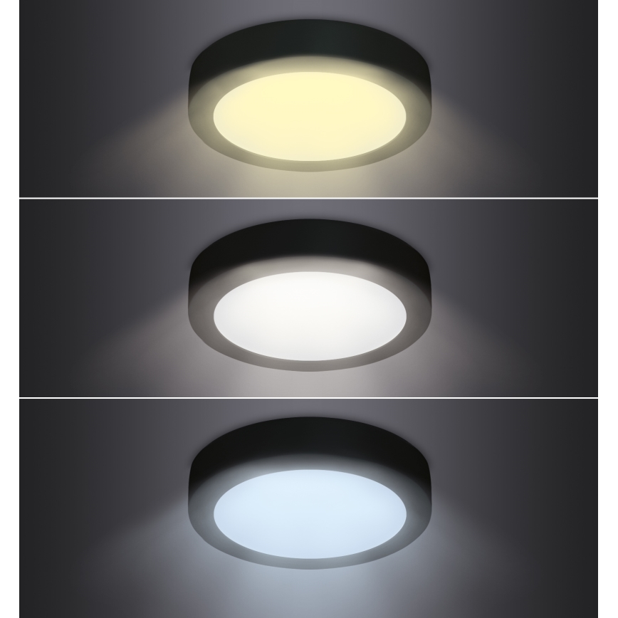 LED Ceiling light LED/12W/230V 3000/4000/6000K black round