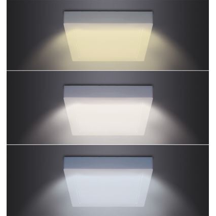 LED Ceiling Light 12W/230V 3000/4000/6000K 17x17 cm White