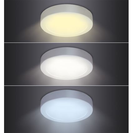 LED Ceiling Light, 24W/230V, 3000/4000/6000K, Ø 30 cm, White