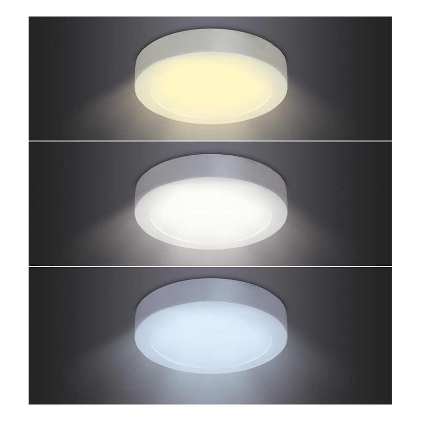 LED Ceiling Light, 24W/230V, 3000/4000/6000K, Ø 30 cm, White