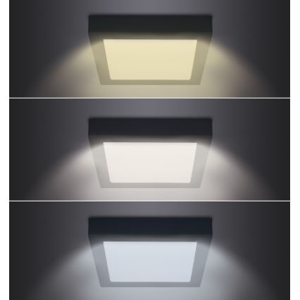 LED Ceiling light LED/24W/230V 3000/4000/6000K black angular