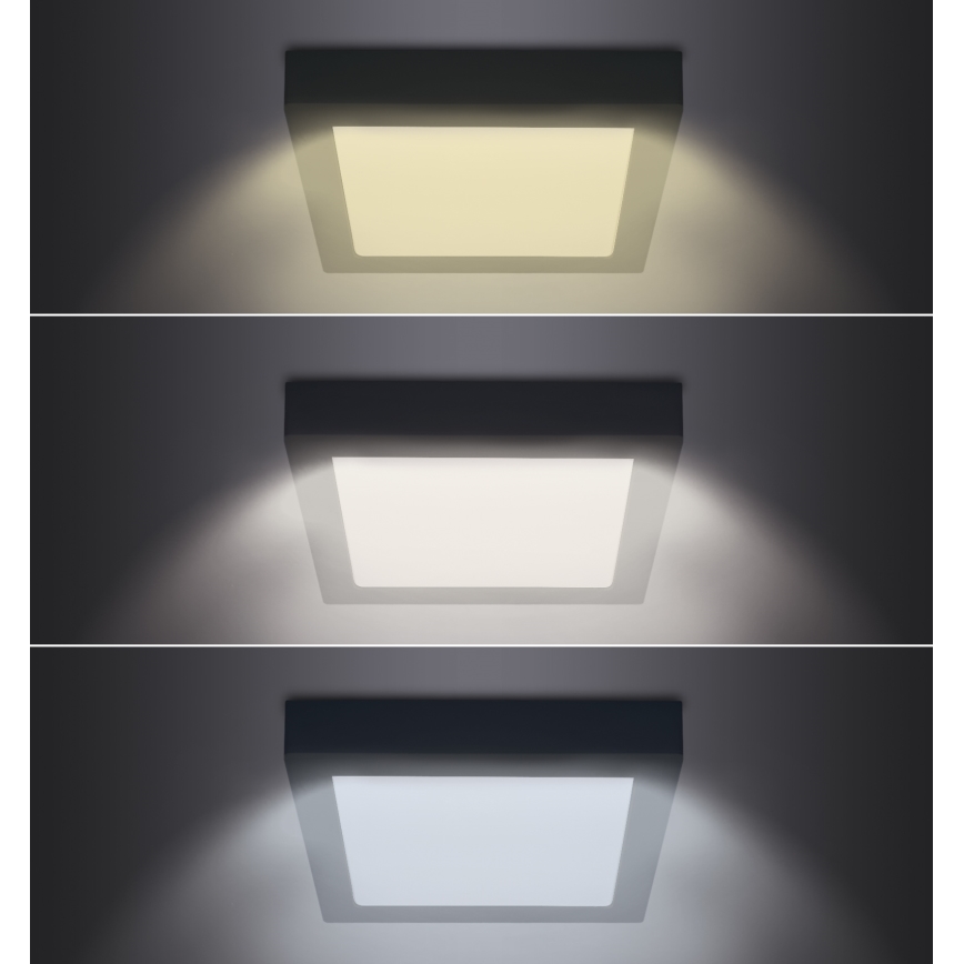LED Ceiling light LED/24W/230V 3000/4000/6000K black angular
