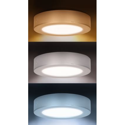2-in-1 LED surface/recessed panel, 12W, 230V, selectable CCT (3000/4000/6000K), Ø17 cm, IP54, silver