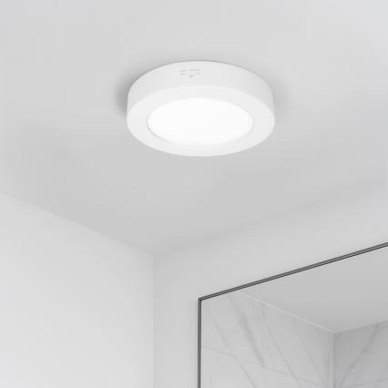 LED 2-in-1 surface-mounted/recessed panel, 12W/230V, selectable 3000/4000/6000K, Ø17cm, IP54, white