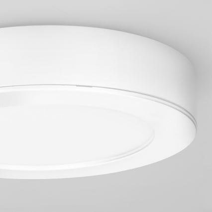 LED 2-in-1 surface-mounted/recessed panel, 12W/230V, selectable 3000/4000/6000K, Ø17cm, IP54, white