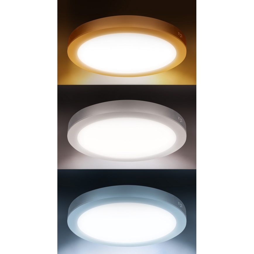 LED 2-in-1 surface/recessed panel 18W/230V 3000/4000/6000K Ø22.5 cm IP54 white