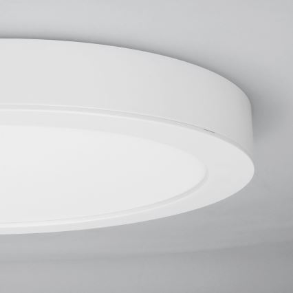 LED 2-in-1 surface/recessed panel 18W/230V 3000/4000/6000K Ø22.5 cm IP54 white