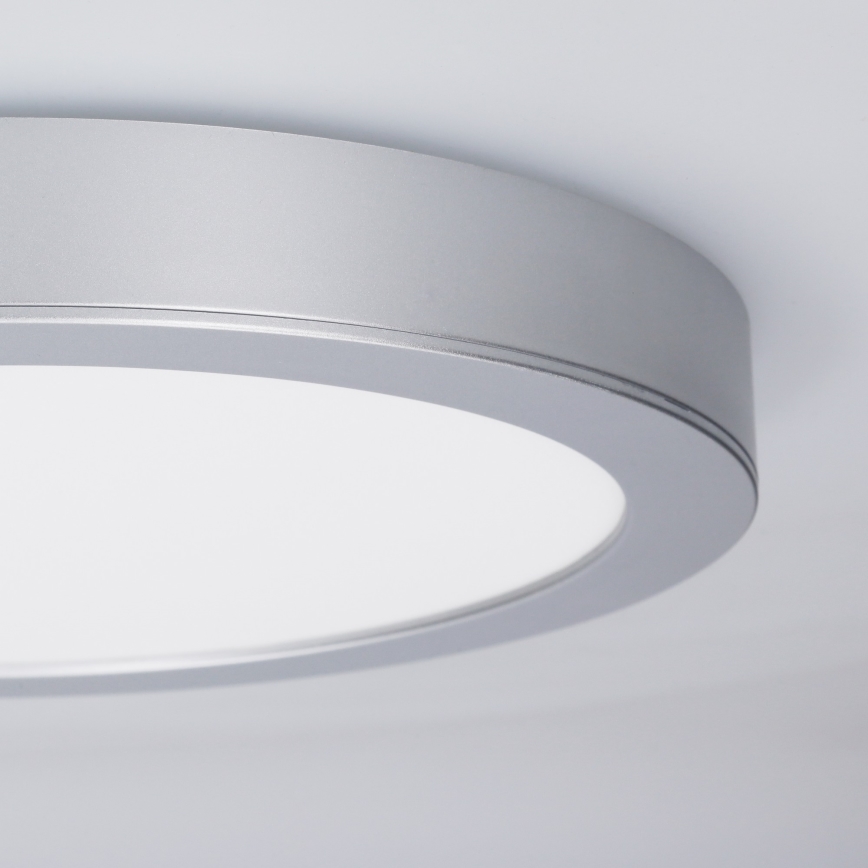 LED 2-in-1 Surface-mounted/Recessed Panel 24W/230V 3000/4000/6000K Ø 30 cm IP54 Silver