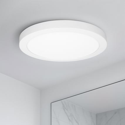 LED 2-in-1 surface/recessed panel, 24W/230V, 3000/4000/6000K, Ø 30 cm, IP54, white