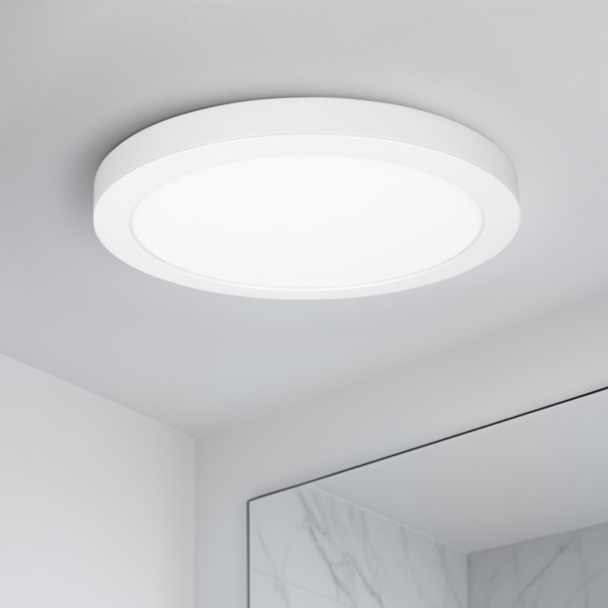 LED 2-in-1 surface/recessed panel, 24W/230V, 3000/4000/6000K, Ø 30 cm, IP54, white