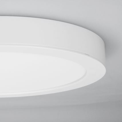 LED 2-in-1 surface/recessed panel, 24W/230V, 3000/4000/6000K, Ø 30 cm, IP54, white