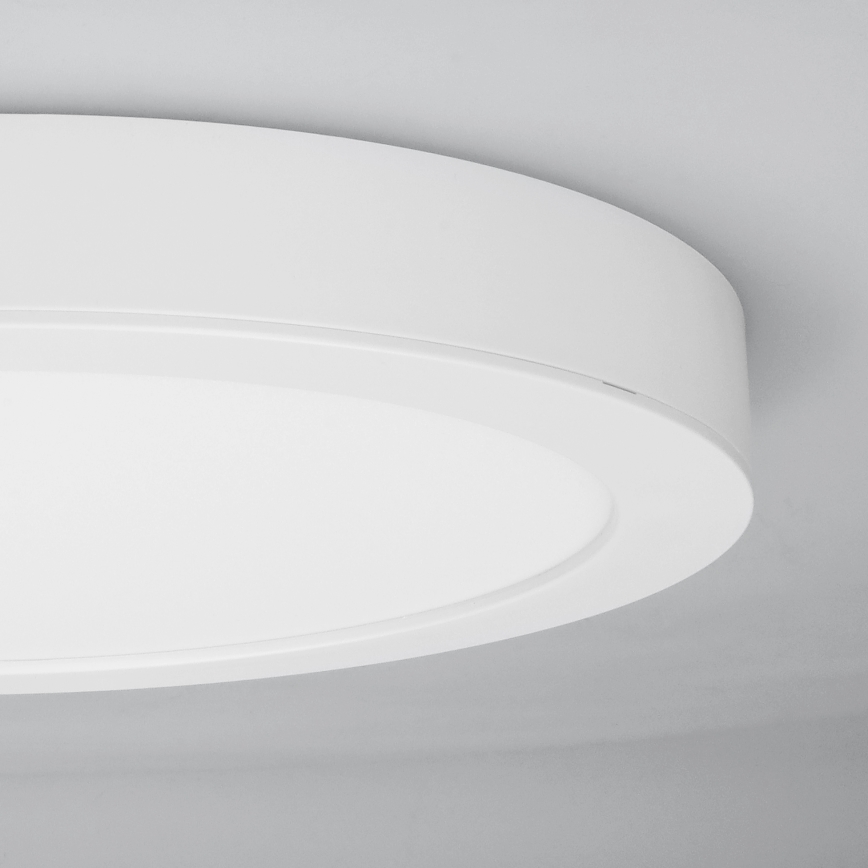LED 2-in-1 surface/recessed panel, 24W/230V, 3000/4000/6000K, Ø 30 cm, IP54, white