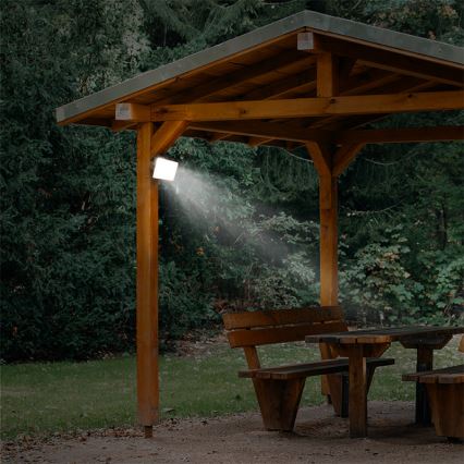 LED Outdoor floodlight with a sensor LED/10W/230V 4000K IP44