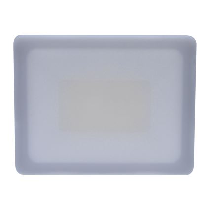 LED Outdoor floodlight LED/30W/230V 4000K IP65