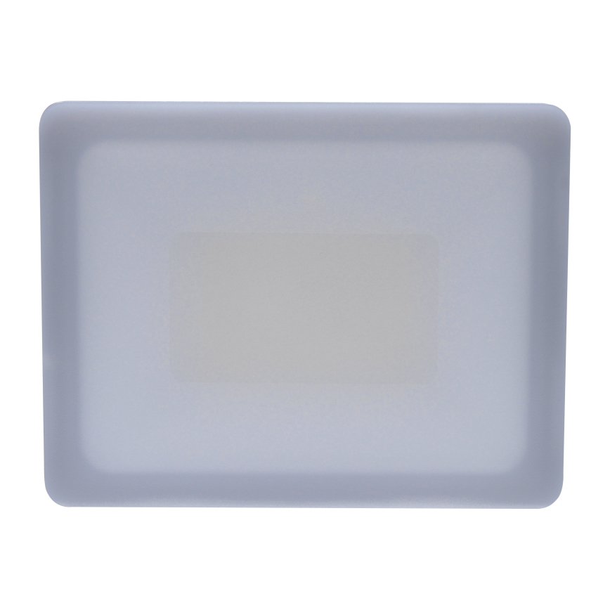 LED Outdoor floodlight LED/30W/230V 4000K IP65