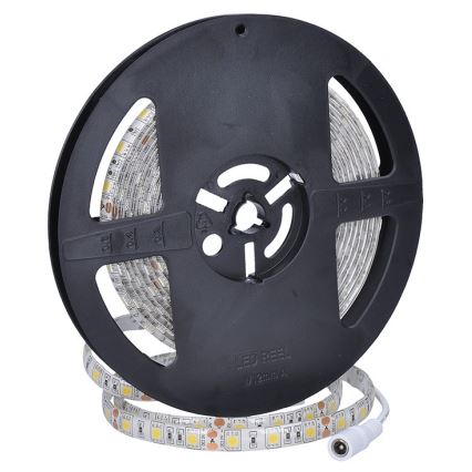 LED Outdoor strip LED/72W/12V 5m IP65 cool white