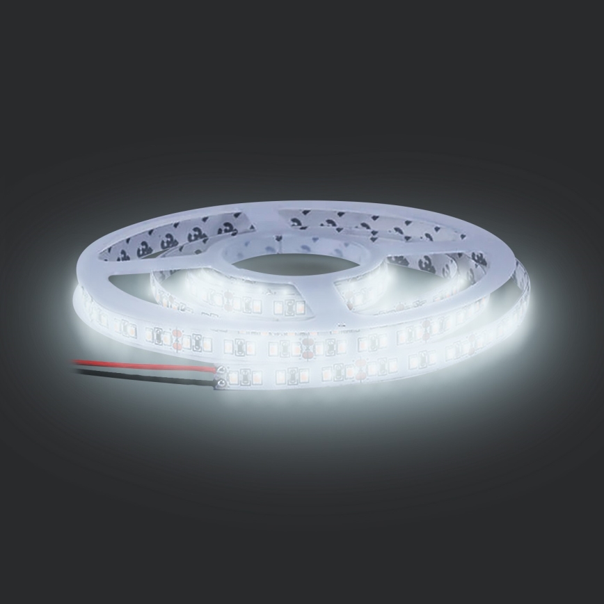 LED Strip LED/50W/12V 5m cool white