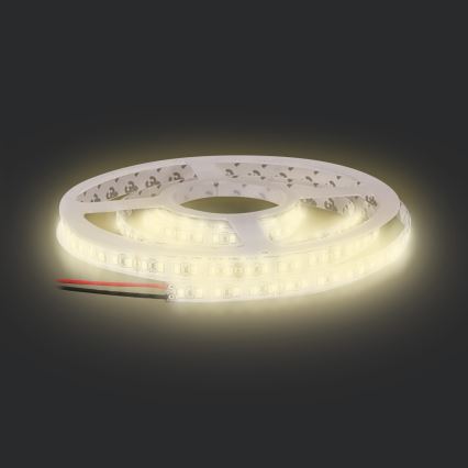 LED Strip LED/50W/12V 5m warm white