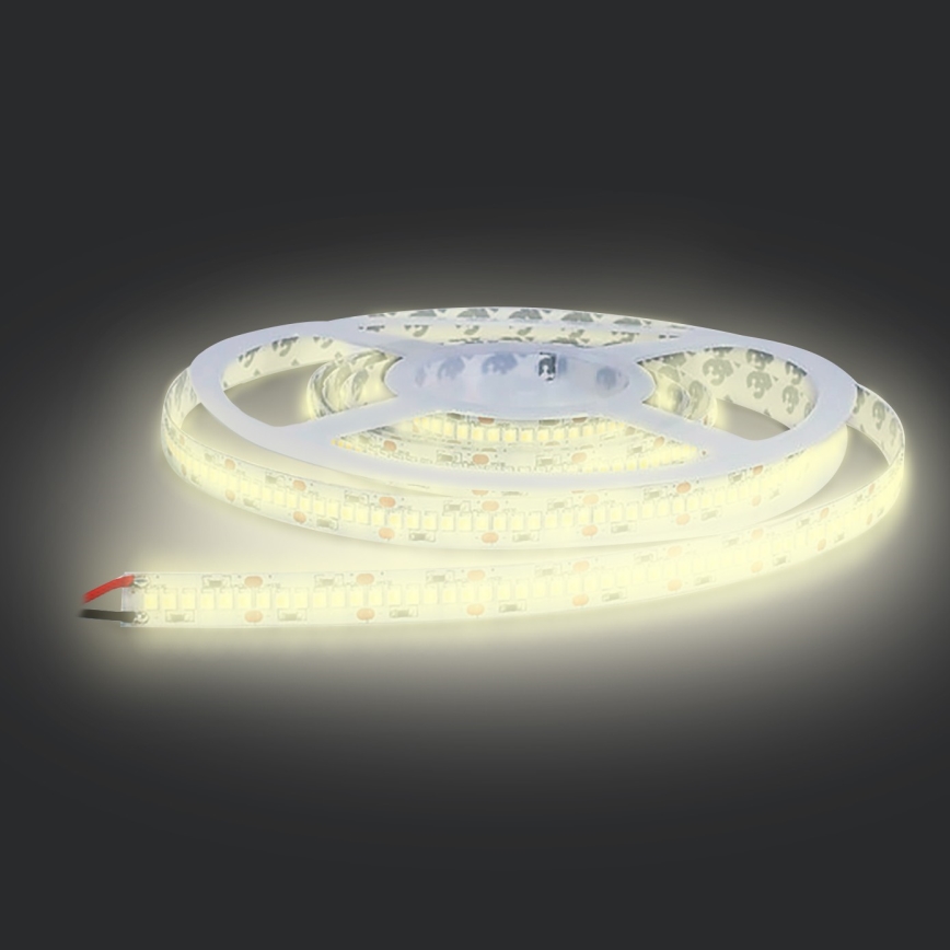 LED Strip LED/80W/12V 5m warm white