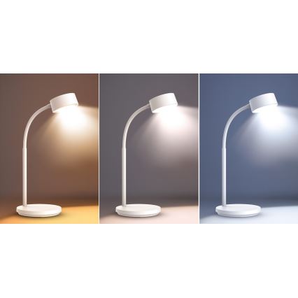 LED Dimmable touch table lamp LED/4,5W/5V 3000/4000/6500K white