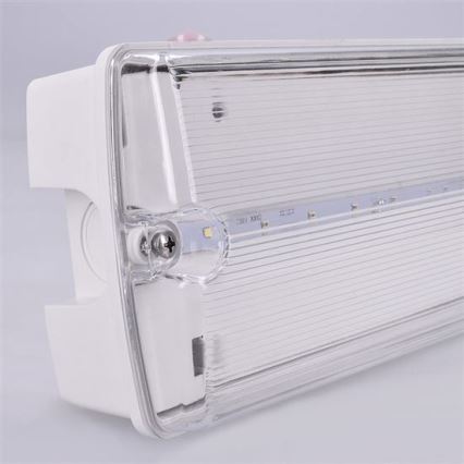LED Emergency light LED/6W/230V IP65 6500K