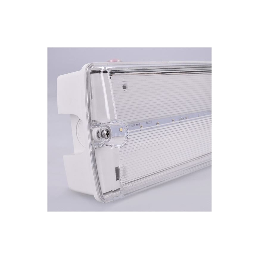 LED Emergency light LED/6W/230V IP65 6500K