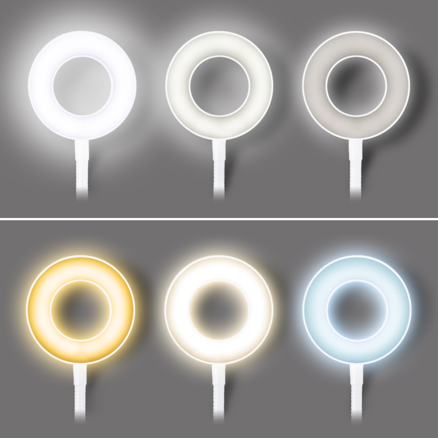 Dimmable LED clamp desk lamp LED/8W/230V 3000/4000/5000K white