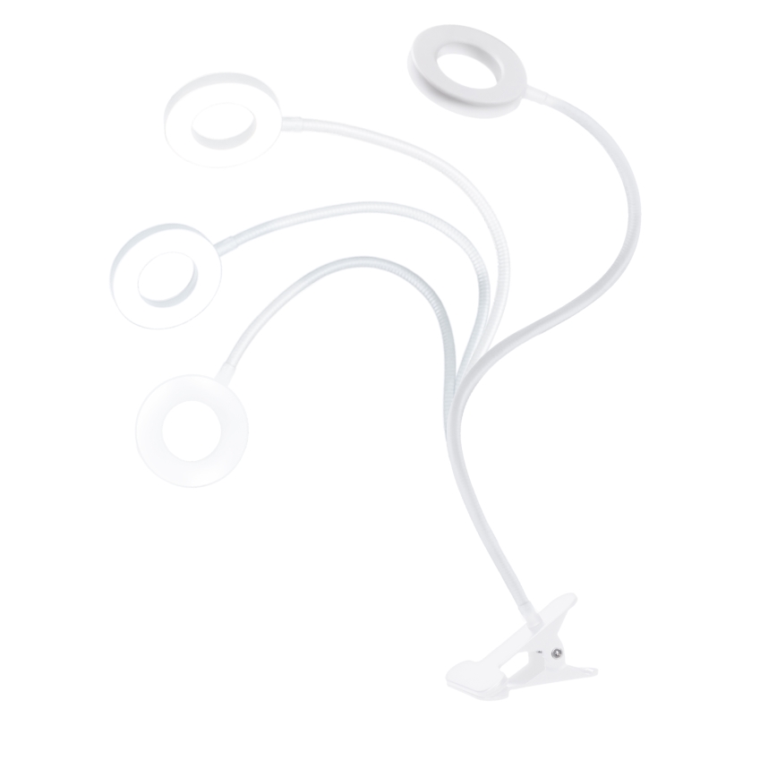 Dimmable LED clamp desk lamp LED/8W/230V 3000/4000/5000K white