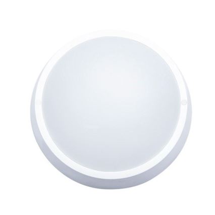 LED Outdoor Ceiling Light, 18W/230V, IP65