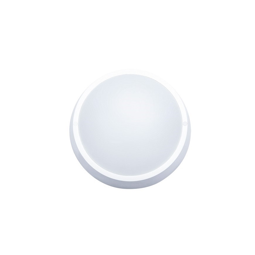 LED Outdoor Ceiling Light, 18W/230V, IP65