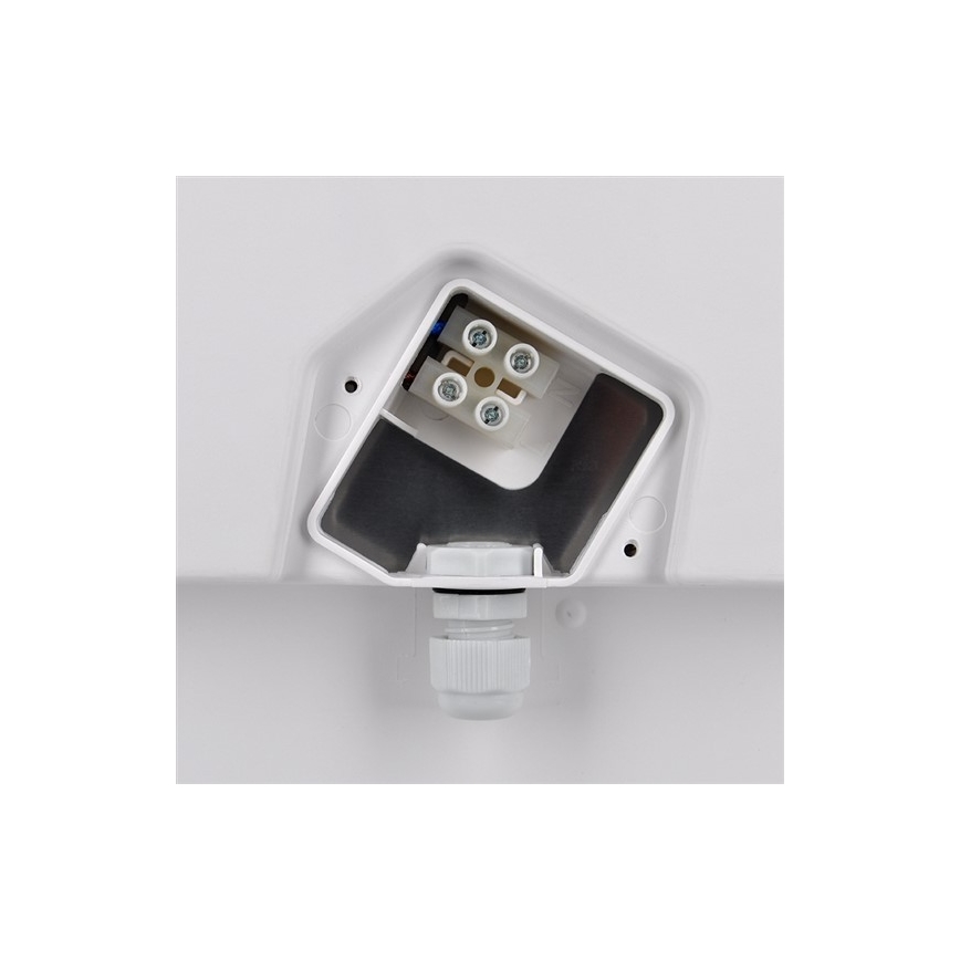 LED Outdoor Ceiling Light, 18W/230V, IP65